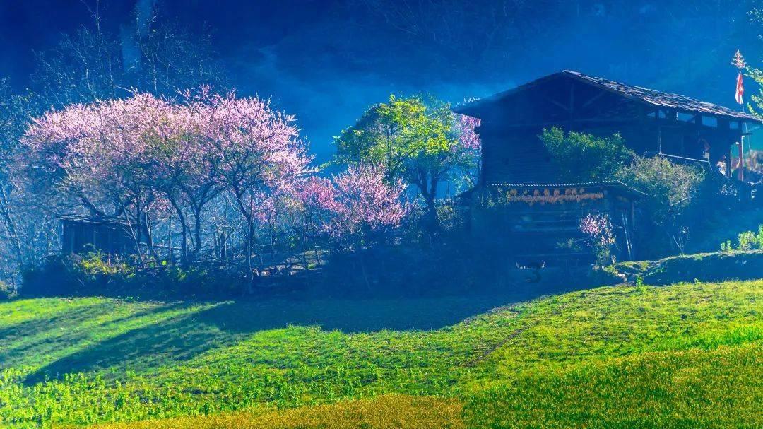 幻兽帕鲁联机失败怎么办 稳定联机游玩方法介绍