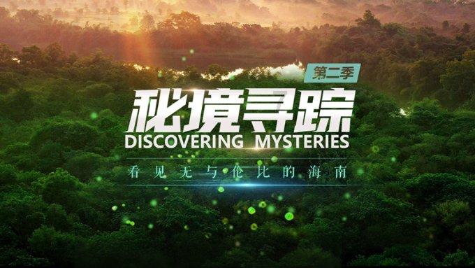 爱吃叶子的毛毛虫