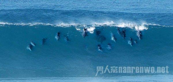 龙魂时刻