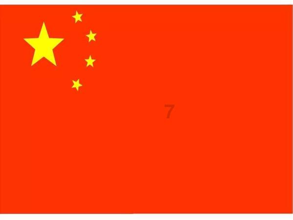 勇敢的心世界大战
