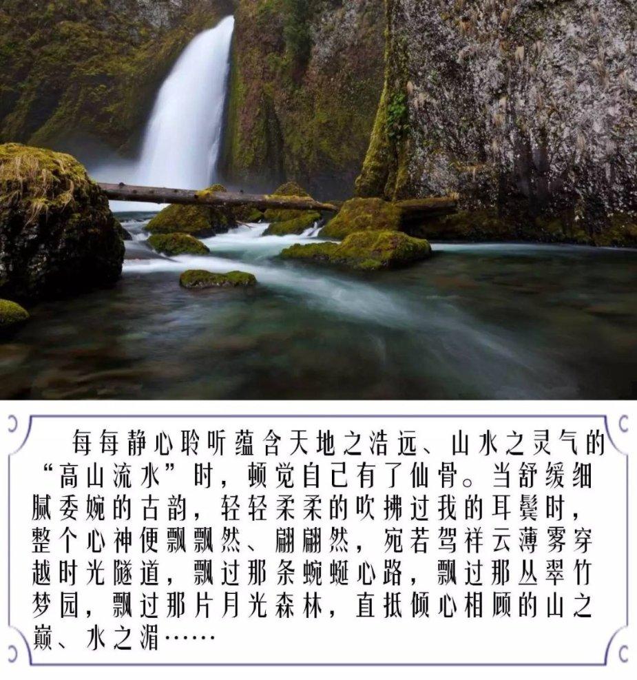 泡泡升空记8